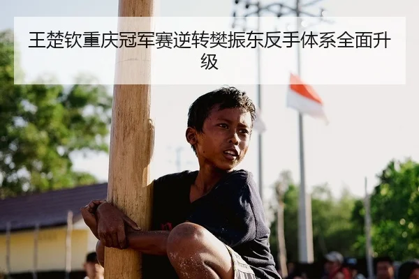 王楚钦重庆冠军赛逆转樊振东反手体系全面升级